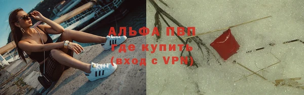 твердый Алзамай