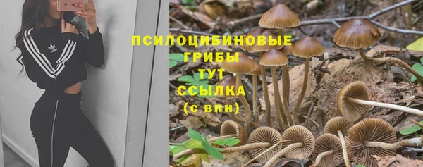 твердый Алзамай