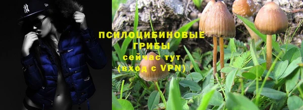 твердый Алзамай